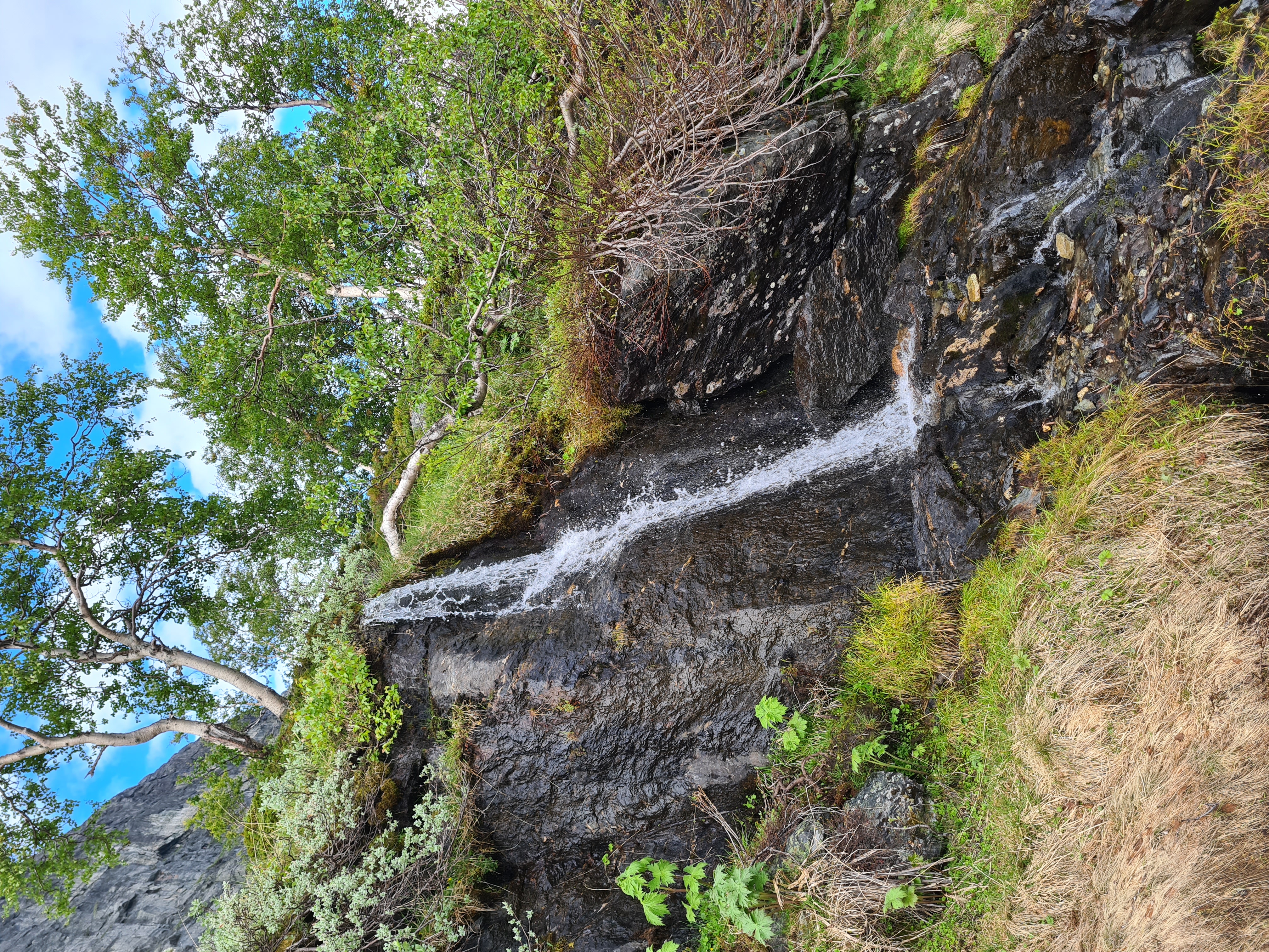 Liten foss